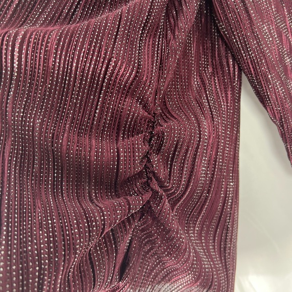 Revolution & Co Women's Top Pleated. in Shimmering Burgundy Glitter Stretch Top - Picture 8 of 12
